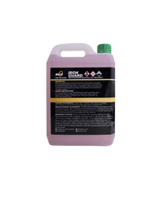 WICS Iron Guard iron decontaminant 5L